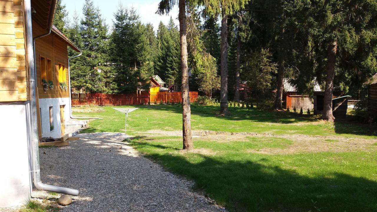 Mofetta Panzio Bed and Breakfast Sintimbru-Bai Εξωτερικό φωτογραφία
