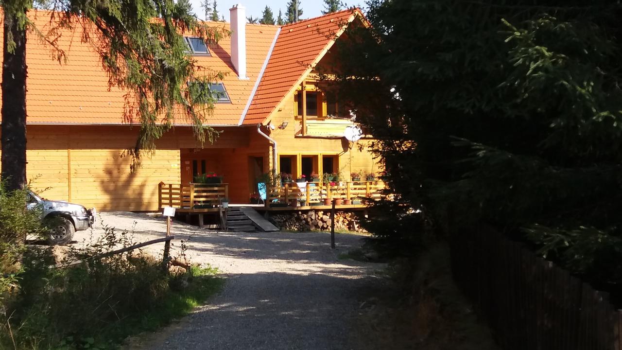 Mofetta Panzio Bed and Breakfast Sintimbru-Bai Εξωτερικό φωτογραφία