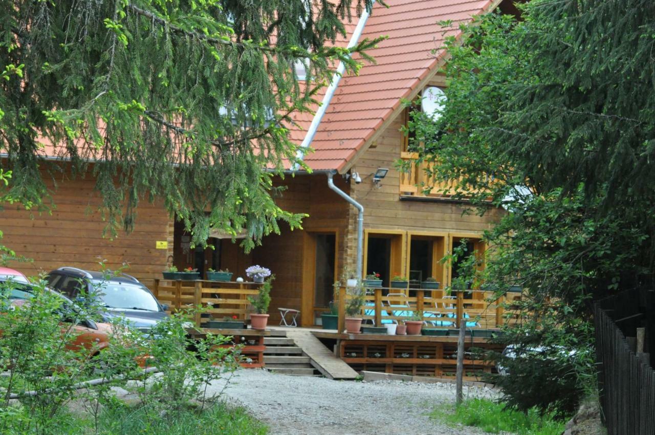 Mofetta Panzio Bed and Breakfast Sintimbru-Bai Εξωτερικό φωτογραφία